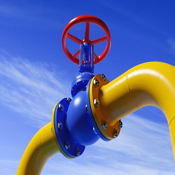 Válvula globo inox??